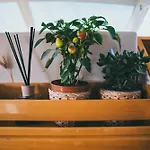 Discoverboat - Pita - Exclusive Boat&breakfast Botel