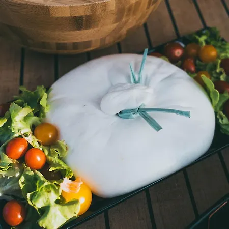 Discoverboat - Pita - Exclusive Boat&breakfast 船屋 *